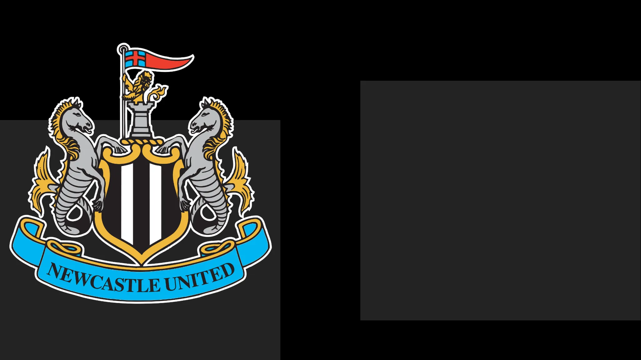 Newcastle Extend Formal Apology to Followers Over Matchday Controversy