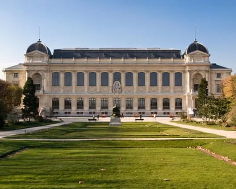 Priceless Golden Specimens Stolen in Daring Heist at France's Natural History Museum
