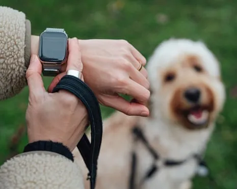 The Honest Scoop Regarding Wearable Tech? Living Improves Devoid of a Nagging Device on Your Wristwear